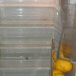 Egy kép a hűtőszekrény belsejéről